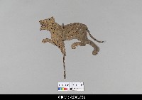 藏品(泰國小檯皮影戲偶)的圖片